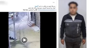 ضبط طالب وعامل سرقا هاتف مواطن بالإكراه وتحت تهديد السلاح بالدقهلية
