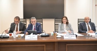 Egyptian House Committee Approves Amendments to Martyrs, Victims and Missing Persons Fund Law