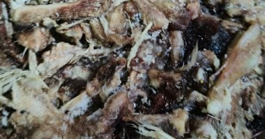 Three Tonnes of Poultry Carcasses and Skins Seized in Evening Inspection in Al-Khusus