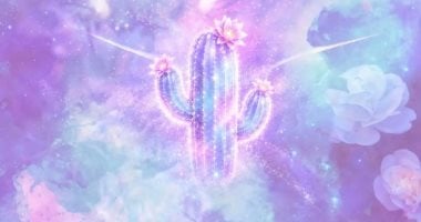 Cactus Dreams: Do the Spines Symbolize Protection or Isolation?