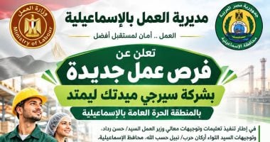 وظائف لأمين مخازن وعمال إنتاج.. شروط التقديم لفرص عمل جديدة بالإسماعيلية