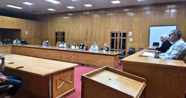 Ismailia Health Chief Reviews National Measles Vaccination Campaign