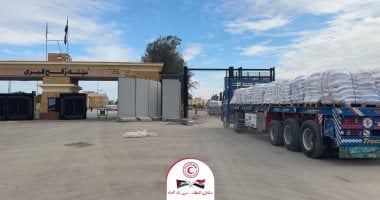 مصر تمد غزة بـ7258 طنا من الدقيق والسلال الغذائية لتوفير الخبز والغداء
