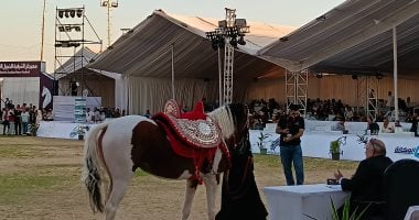 انطلاق مسابقات تراث أدب الخيل بمهرجان الشرقية بمشاركة 61 حصانًا.. فيديو