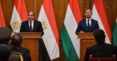 فخامة الرئيس عبد الفتاح السيسي