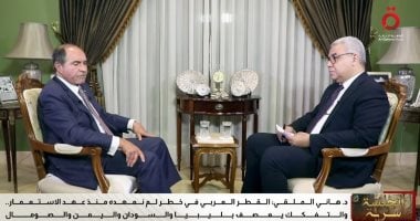 هاني الملقي لـ "الجلسة سرية": 3 أو 4 دول عربية يمكنها تشكيل «كتلة حرجة»