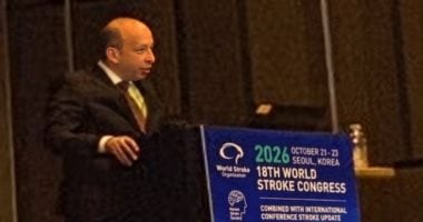 حسام صلاح: جهود مصرية لتميز مراكز السكتة الدماغية وفق منظومة مشتركة مع WSO
