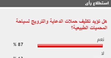 نتيجة الاستطلاع