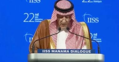 الخارجية السعودية: نرفض تهجير الشعب الفلسطينى ونطالب بوقف النار فى غزة