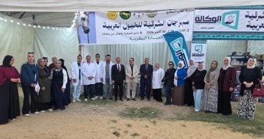 مدير مديرية الطب البيطرى بالشرقية: قدمنا خدمات متكاملة لرعاية الخيول المشاركة فى المهرجان