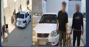 الداخلية تضبط مرتكبى واقعة سرقة ماشية بأسلوب المغافلة فى العريش