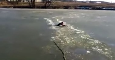بالفيديو.. روسى يقفز فى الماء المثلج لإنقاذ كلب من الغرق