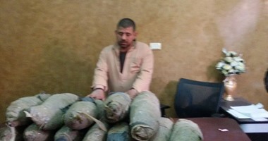 إحباط محاولة شاب بيع 15 كيلو بانجو لعملائه فى البدرشين بالجيزة