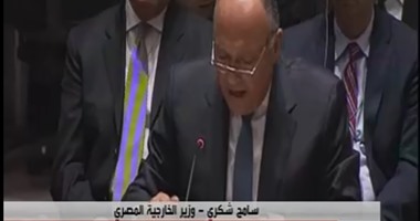 شكرى يدعو مجلس الأمن لتفعيل قرار الجامعة العربية حول ليبيا