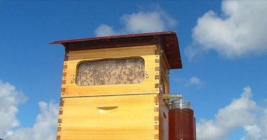 بالفيديو.. خلية نحل ذكية للحصول على العسل بضغطة زر