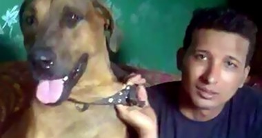 بالفيديو.. آثار دماء كلب شارع الأهرام بعد أيام من ذبحه وضبط قاتليه