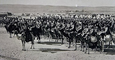 محاربون بأجنحة وذوات الأربع.. كيف لعبت الحيوانات دورا بالحرب العالمية الأولى؟