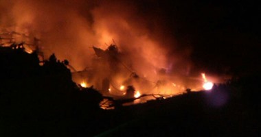 السيطرة على حريق بـ5 أفدنة مزروعة شجر زيتون بأبو رواش (تحديث)