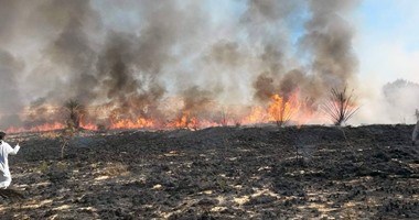 بالصور.. إخماد حريق اندلع بإحدى مزارع النخيل بمنطقة المراقى فى واحة سيوة