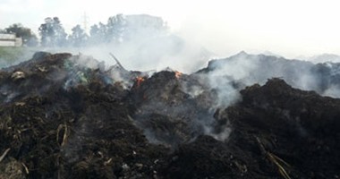 حرق قش الأرز فى قرية "رين" بالدقهلية والأهالى يستغيثون
