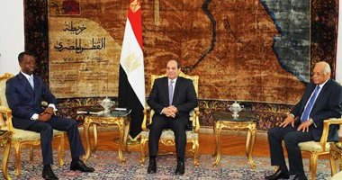 السيسى يؤكد على أولوية البعد الإفريقى فى السياسية الخارجية المصرية