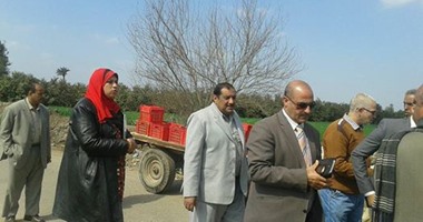 رئيس مدينة شبين القناطر: انتهاء إنشاء 4 طرق بحدائق الجعافرة