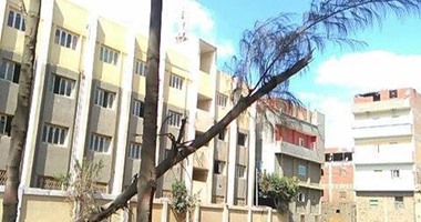 الحماية المدنية تزيل أثار سقوط شجرة فى شارع المحطة بالجيزة