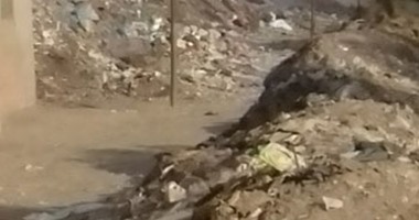 صحافة المواطن:بالصور..القمامة تحاصر قرية المريج بالقليوبية والأهالى يستغيثون