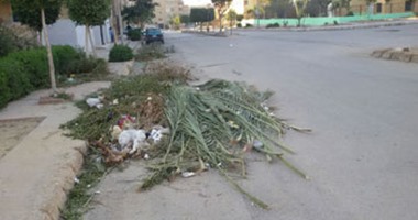 صحافة المواطن : بالصور.. شكاوى من القمامة وأعمال البلطجة بمساكن الشباب بالعبور