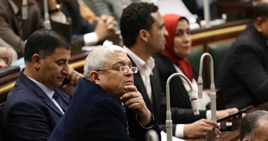 رئيس البرلمان: إجراءات إسقاط العضوية عن "عكاشة" سليمة