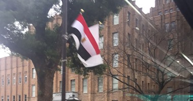 بالصور.. شوارع طوكيو تتزين بأعلام مصر احتفاء بزيارة "السيسى" إلى اليابان