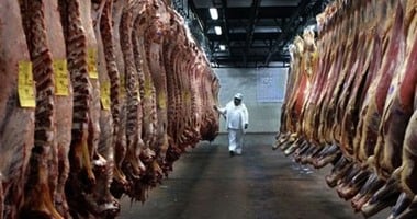 شعبة المستوردين: ارتفاع سعر اللحوم لـ90 جنيها للكيلو بسبب نقص الواردات