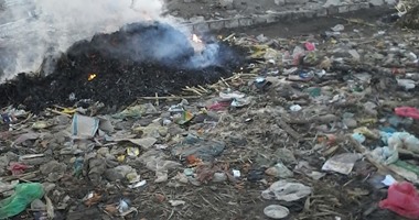 "صحافة المواطن"..أهالى عزبة بشرى بالفشن يعانون من حرق القمامة ونقص الخدمات