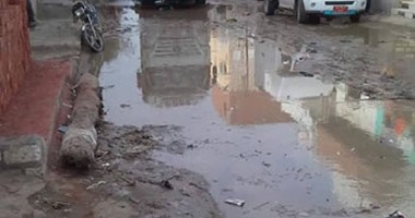 "صحافة المواطن".. شوارع "قصر الباسل" بالفيوم تغرق فى مياه الصرف الصحى