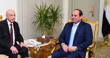 السيسى يؤكد دعم مصر للعملية السياسية فى ليبيا ورفع الحظر عن جيشها