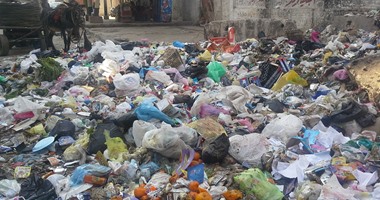 رفع 72 طن قمامة ومخلفات من شوارع العامرية بالإسكندرية