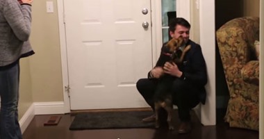 بالفيديو.. كلب يقفز من الفرحة لرؤية صاحبه بعد عامين