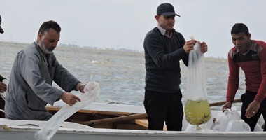 ضبط 10 آلاف "زريعة سمك" بحوزة شخصين لنقلها لمزرعة بكفر الشيخ