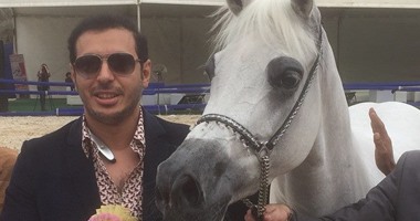 مصطفى شعبان يفوز بالجائزة الذهبية لبطولة مصر للخيول العربية الأصيلة