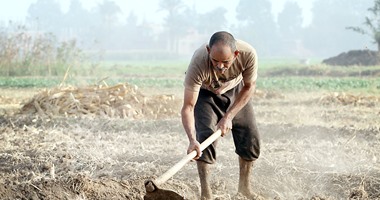 الزراعة: الانتهاء من حصر 482 ألف فلاح لتطبيق التأمين الصحى بالمحافظات