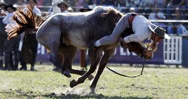 بالصور.. أخطر رياضة لترويض الخيول البرية بأمريكا اللاتينية