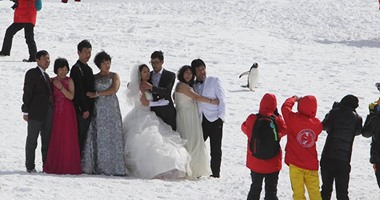 بالصور..زوجان صينيان يتسببان فى فزع بطاريق بالقطب الشمالى
