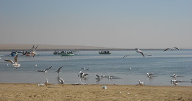 البيئة: اتخاذ الإجراءات القانونية ضد قرية سياحية تصرف صرف صحى ببحيرة قارون