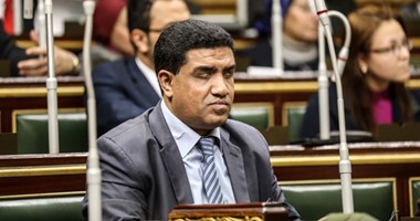 النائب خالد حنفى: ليس من حق مجلس الدولة الرقابة الدستورية على القوانين