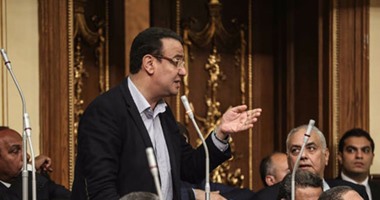 صلاح حسب الله: دعم مصر جاهز بقوانين الفصل التشريعى الأول