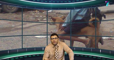 بالفيديو.. متآمر وأهبل.. تصدير الكلاب طريق مصر لكسر أزمة الدولار