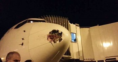 تلفيات بمقدمة طائرة مصر للطيران لاصطدامها بطائر أثناء هبوطها بمطار هيثرو