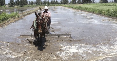 اخبار مدغشقر .. نقص المياه يحد من الزراعة الذكية مناخيا فى مدغشقر