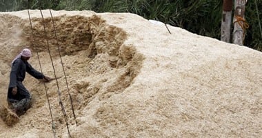 "الزراعة": تحويل 154 ألف طن قش أرز لأعلاف وأسمدة