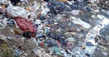 صحافة المواطن.. بالصور.. القمامة والقاذورات تملأ ترعة داخل كتلة سكنية بقرية فى الدقهلية